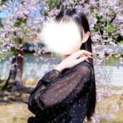 ヒメ日記 2026/04/28 15:13 投稿 ひなた SOPHIA（ソフィア）