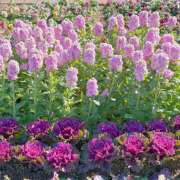 ヒメ日記 2026/01/30 10:13 投稿 大原 HERMINE-エルミネ-