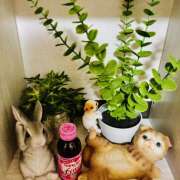 ヒメ日記 2026/01/31 03:56 投稿 大原 HERMINE-エルミネ-