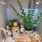 ヒメ日記 2026/02/02 00:55 投稿 大原 HERMINE-エルミネ-