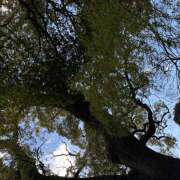 ヒメ日記 2026/02/04 12:57 投稿 大原 HERMINE-エルミネ-