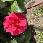 ヒメ日記 2026/02/10 11:44 投稿 大原 HERMINE-エルミネ-