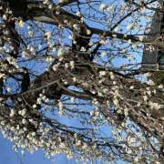 ヒメ日記 2026/02/11 08:25 投稿 大原 HERMINE-エルミネ-