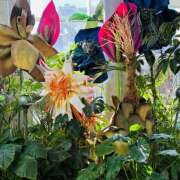 ヒメ日記 2026/02/17 09:02 投稿 大原 HERMINE-エルミネ-