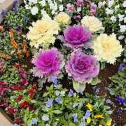 ヒメ日記 2026/02/19 17:16 投稿 大原 HERMINE-エルミネ-