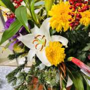 ヒメ日記 2026/02/23 11:01 投稿 大原 HERMINE-エルミネ-