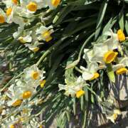 ヒメ日記 2026/02/23 22:14 投稿 大原 HERMINE-エルミネ-