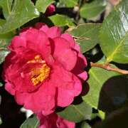 ヒメ日記 2026/02/24 08:55 投稿 大原 HERMINE-エルミネ-