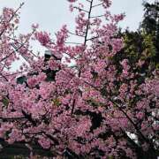 ヒメ日記 2026/02/26 21:00 投稿 大原 HERMINE-エルミネ-