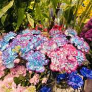 ヒメ日記 2026/02/27 09:20 投稿 大原 HERMINE-エルミネ-