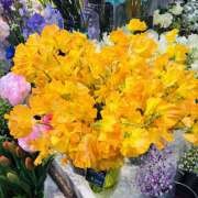 ヒメ日記 2026/02/28 10:23 投稿 大原 HERMINE-エルミネ-