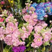 ヒメ日記 2026/03/02 09:34 投稿 大原 HERMINE-エルミネ-