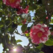 大原 こんばんは😉 HERMINE-エルミネ-