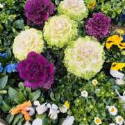 大原 おはようございます🧡 HERMINE-エルミネ-