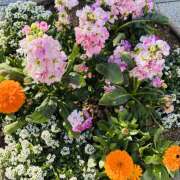 ヒメ日記 2026/03/13 08:03 投稿 大原 HERMINE-エルミネ-