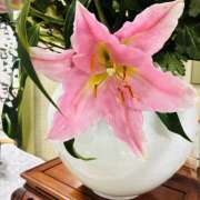 ヒメ日記 2026/03/16 10:04 投稿 大原 HERMINE-エルミネ-