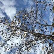 ヒメ日記 2026/03/16 23:09 投稿 大原 HERMINE-エルミネ-