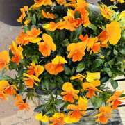 ヒメ日記 2026/03/19 08:15 投稿 大原 HERMINE-エルミネ-