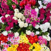 ヒメ日記 2026/03/23 08:02 投稿 大原 HERMINE-エルミネ-