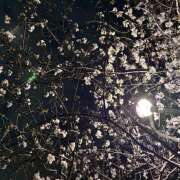 ヒメ日記 2026/03/28 16:00 投稿 大原 HERMINE-エルミネ-