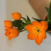 ヒメ日記 2026/03/29 20:55 投稿 大原 HERMINE-エルミネ-