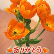 ヒメ日記 2026/04/02 23:39 投稿 大原 HERMINE-エルミネ-