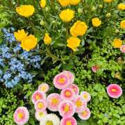 ヒメ日記 2026/04/03 07:44 投稿 大原 HERMINE-エルミネ-