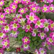 ヒメ日記 2026/04/08 07:39 投稿 大原 HERMINE-エルミネ-