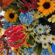 ヒメ日記 2026/04/11 07:50 投稿 大原 HERMINE-エルミネ-