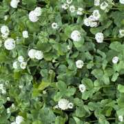 ヒメ日記 2026/04/12 17:39 投稿 大原 HERMINE-エルミネ-