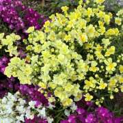 ヒメ日記 2026/04/14 08:27 投稿 大原 HERMINE-エルミネ-