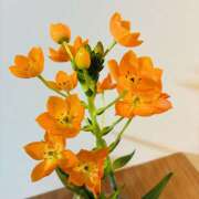 ヒメ日記 2026/04/16 07:49 投稿 大原 HERMINE-エルミネ-