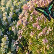 ヒメ日記 2026/04/23 14:48 投稿 大原 HERMINE-エルミネ-