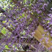 ヒメ日記 2026/04/29 21:44 投稿 大原 HERMINE-エルミネ-