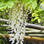 大原 おはようございます✨ HERMINE-エルミネ-