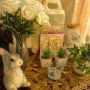 ヒメ日記 2026/05/01 14:55 投稿 大原 HERMINE-エルミネ-