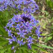 ヒメ日記 2026/05/02 07:56 投稿 大原 HERMINE-エルミネ-