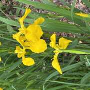 ヒメ日記 2026/05/06 15:54 投稿 大原 HERMINE-エルミネ-