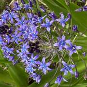 ヒメ日記 2026/05/08 08:01 投稿 大原 HERMINE-エルミネ-