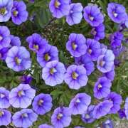 ヒメ日記 2026/05/26 08:02 投稿 大原 HERMINE-エルミネ-