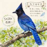 ヒメ日記 2026/05/28 23:46 投稿 大原 HERMINE-エルミネ-