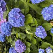 ヒメ日記 2026/06/03 15:38 投稿 大原 HERMINE-エルミネ-