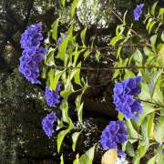 ヒメ日記 2026/06/20 08:10 投稿 大原 HERMINE-エルミネ-