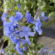ヒメ日記 2026/06/24 08:18 投稿 大原 HERMINE-エルミネ-