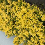 ヒメ日記 2026/06/29 08:16 投稿 大原 HERMINE-エルミネ-