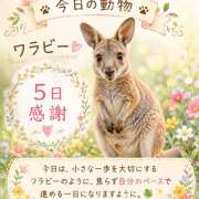 ヒメ日記 2026/07/05 23:23 投稿 大原 HERMINE-エルミネ-