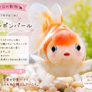 ヒメ日記 2026/07/09 18:41 投稿 大原 HERMINE-エルミネ-
