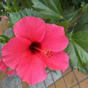 ヒメ日記 2026/08/12 08:26 投稿 大原 HERMINE-エルミネ-