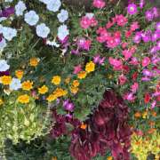 ヒメ日記 2026/08/15 08:12 投稿 大原 HERMINE-エルミネ-