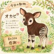 ヒメ日記 2026/08/21 00:13 投稿 大原 HERMINE-エルミネ-